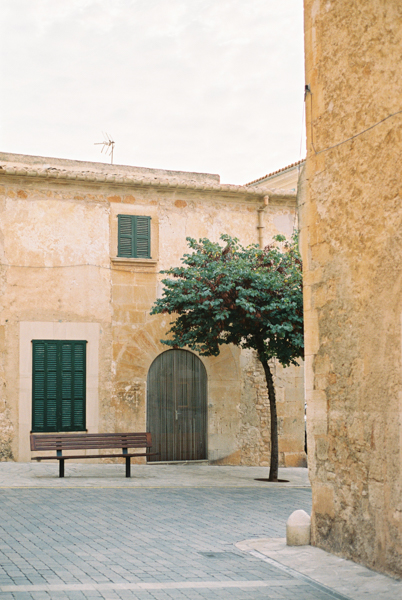Photo of a single tree in a mediteranean courtyard