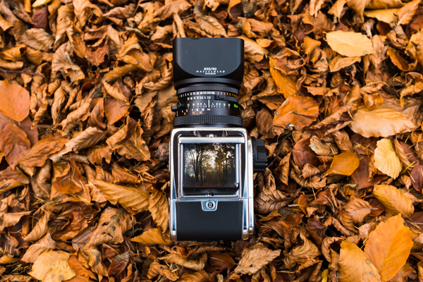 Photo of an old Hasselblad 500c/m in autumn leaves