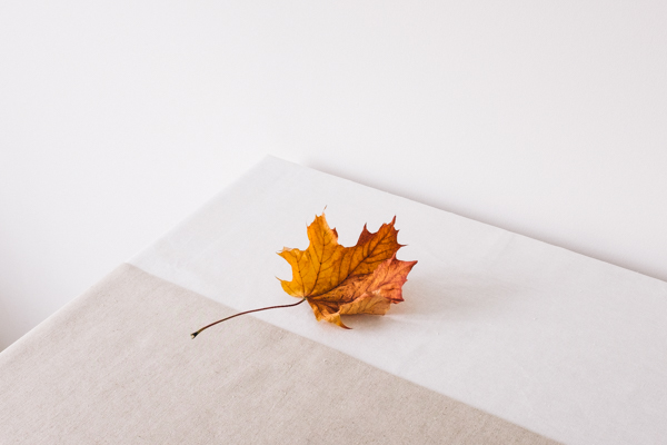 Photo of a dried autumn leaf