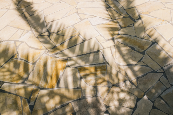 Photo of palm tree shadows on a paved surface